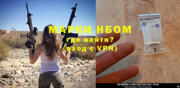 соль ск Няндома