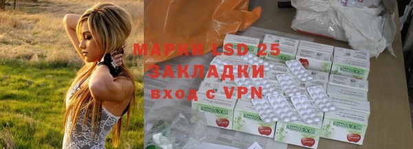 PSILOCYBIN Осташков