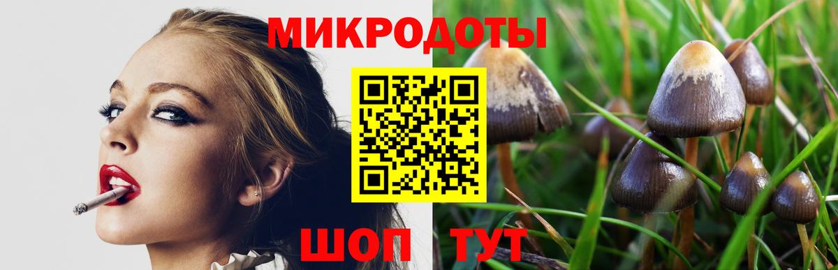 Галлюциногенные грибы прущие грибы  Вход с VPN  Нижнеудинск  Псилоцибиновые грибы мицелий 